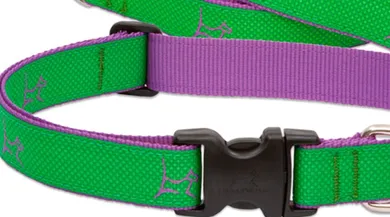 Augusta-Green Club Collar