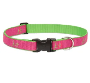 Bermuda-Pink Club Collar