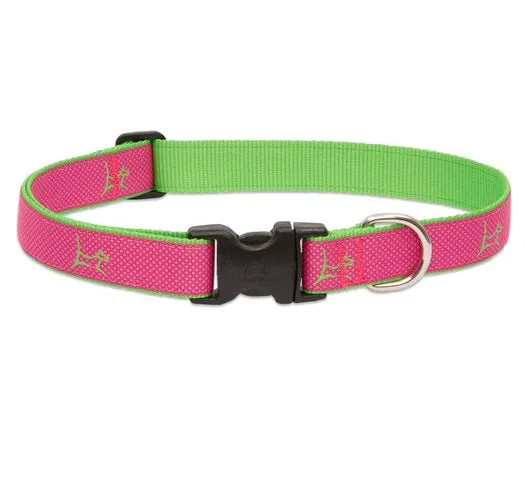 Bermuda-Pink Club Collar