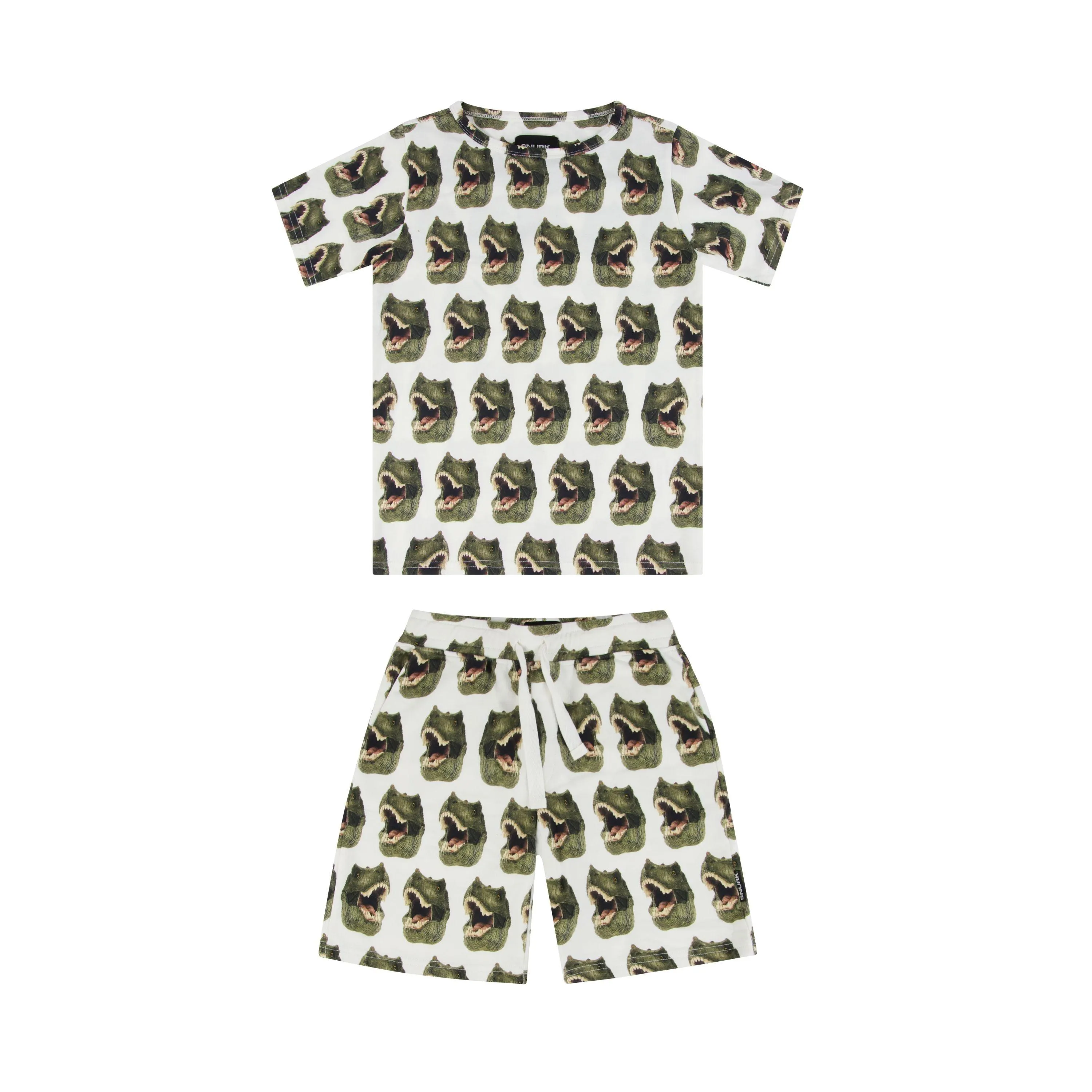 Dino T-shirt en Shorts set Kids