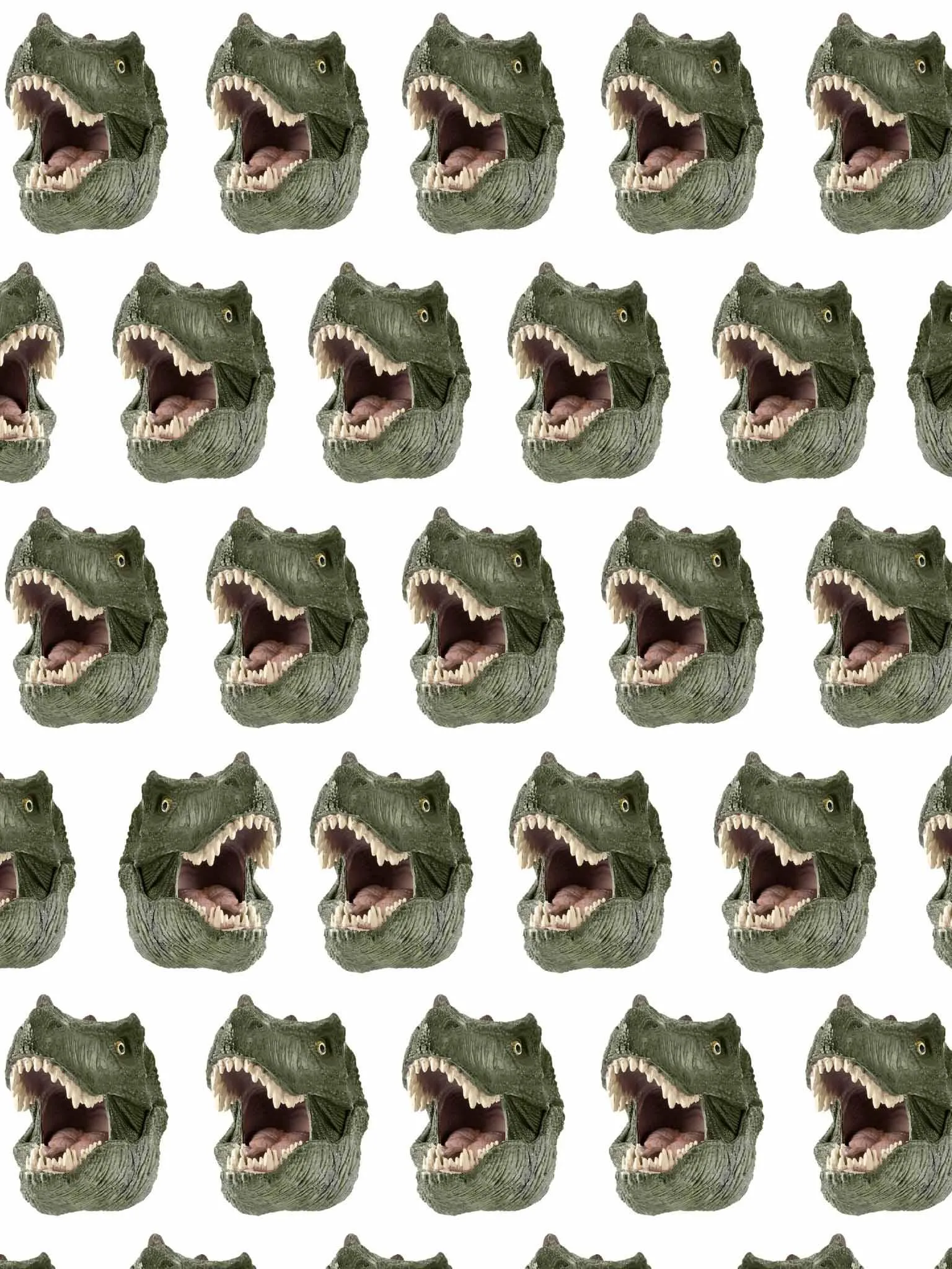 Dino T-shirt en Shorts set Kids