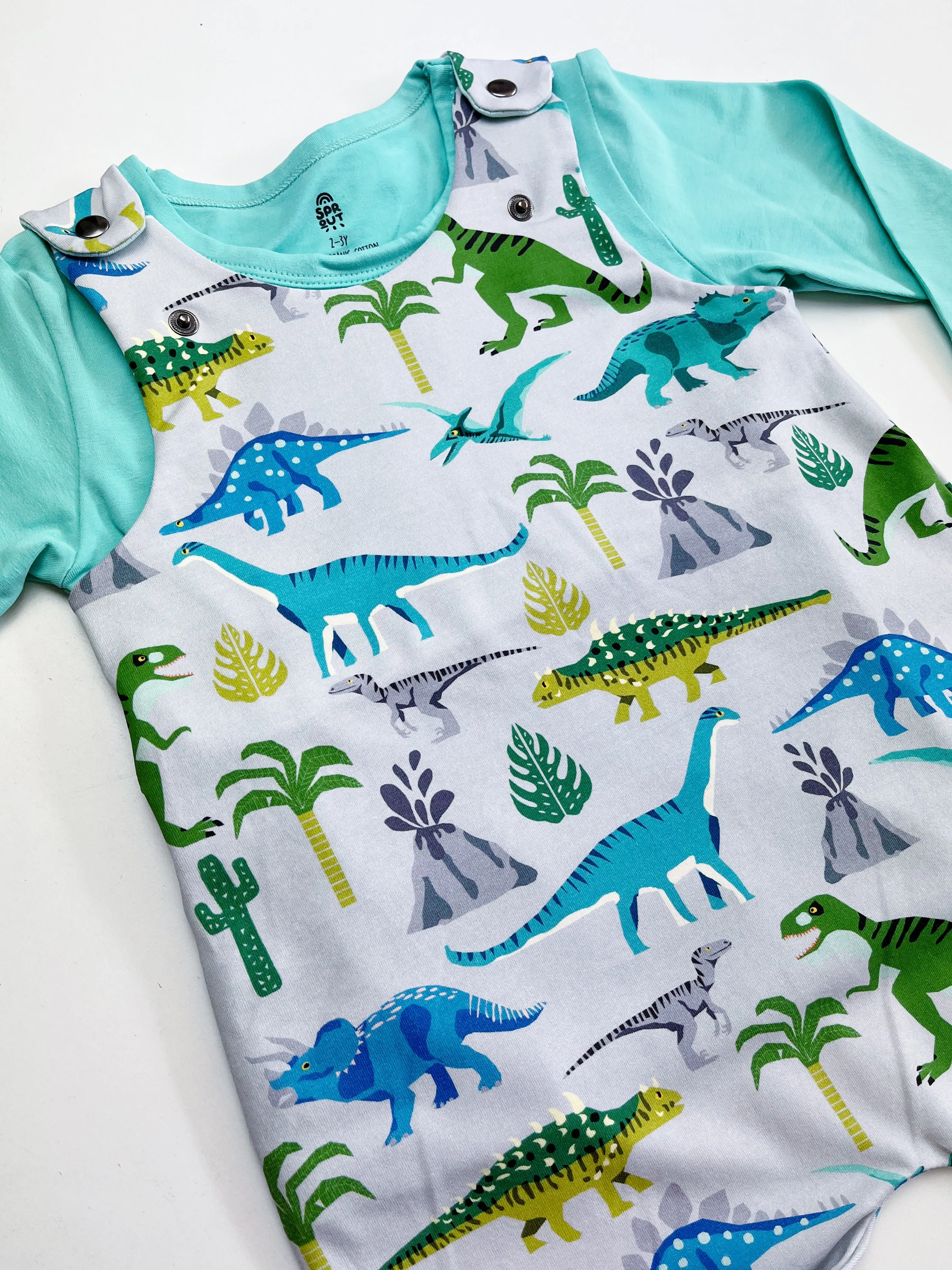 Dinosaur Childrens Organic Dungarees