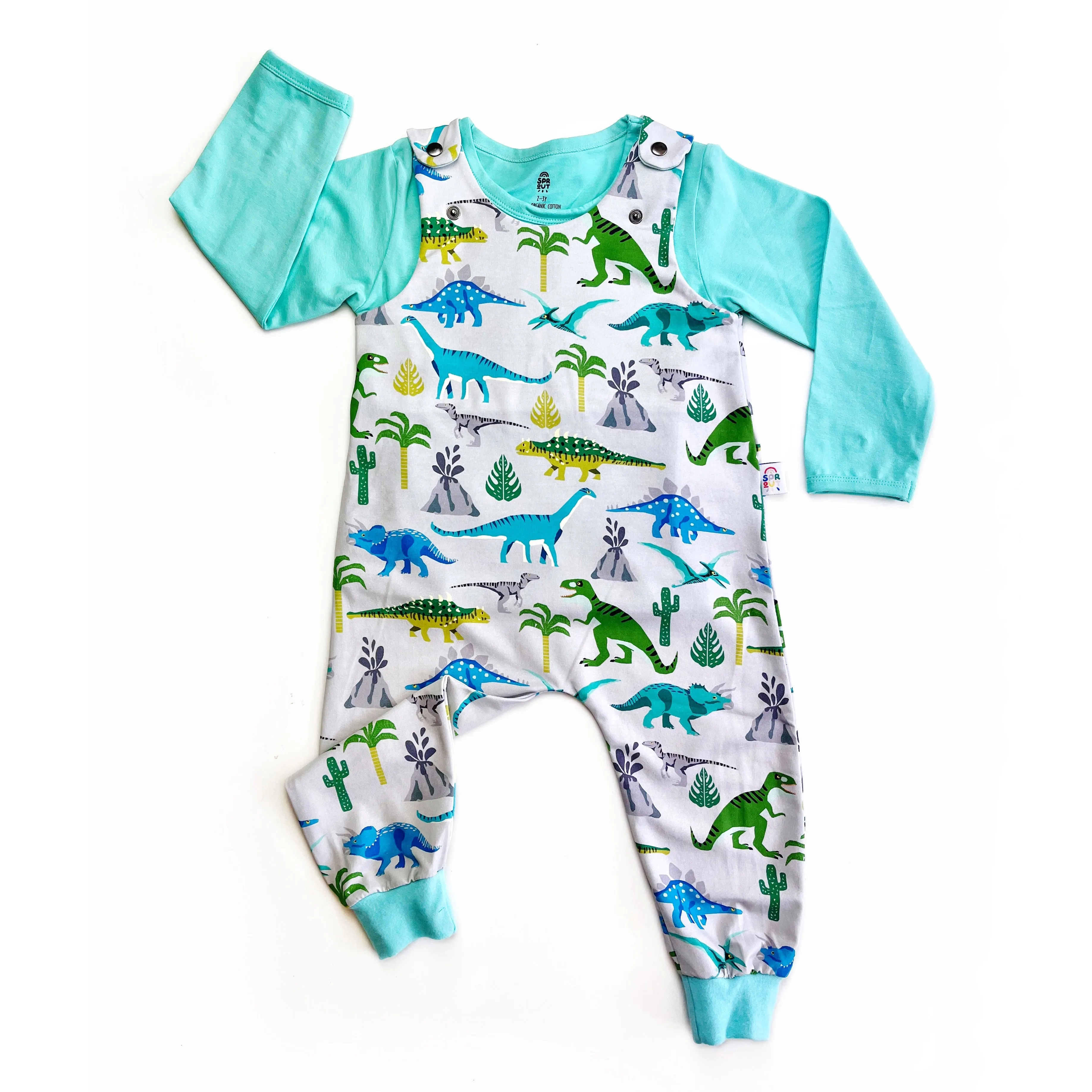 Dinosaur Childrens Organic Dungarees