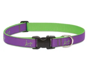 Hampton-Purple Club Collar