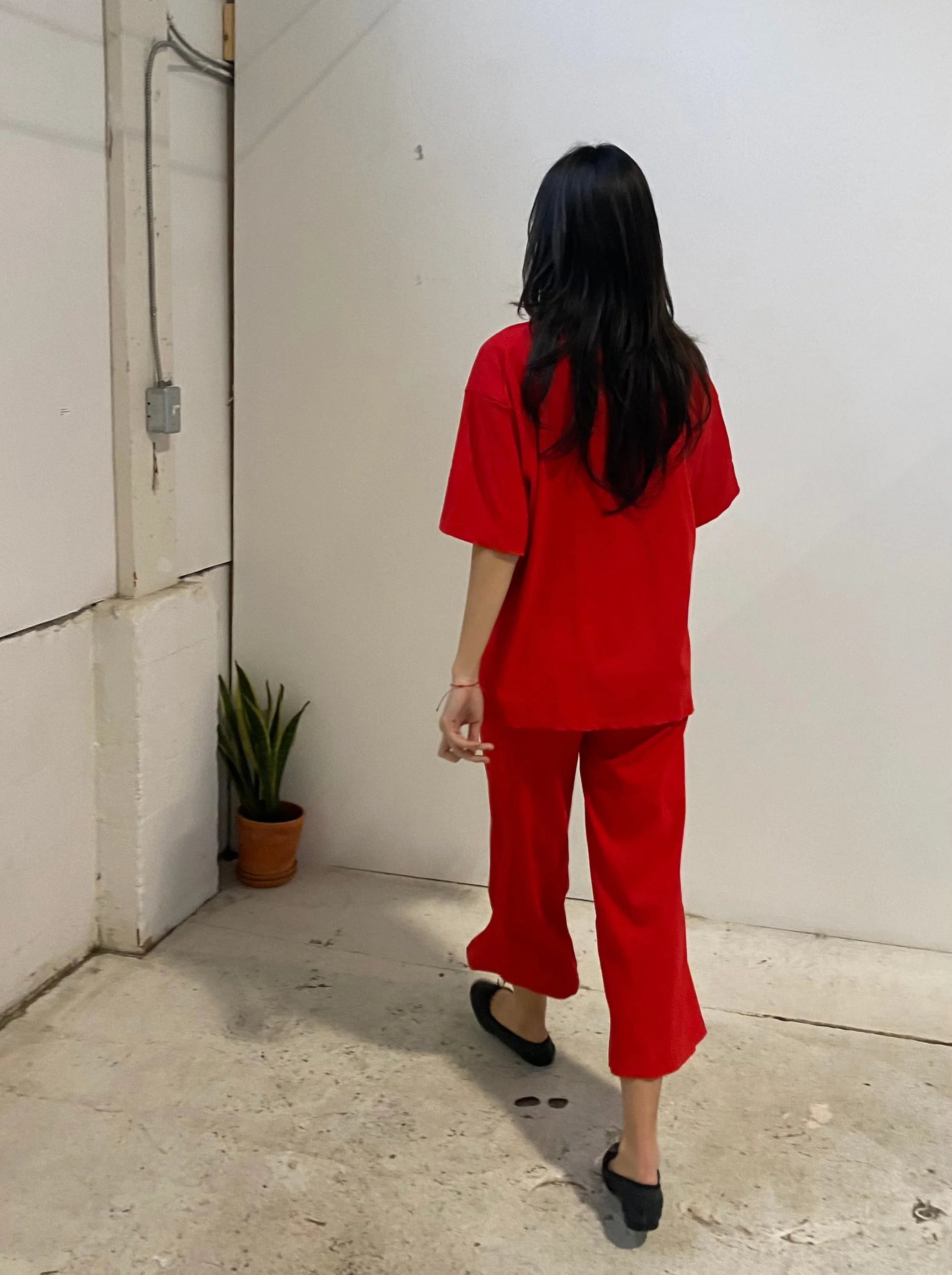 Joshua Shortsleeve Top in Red