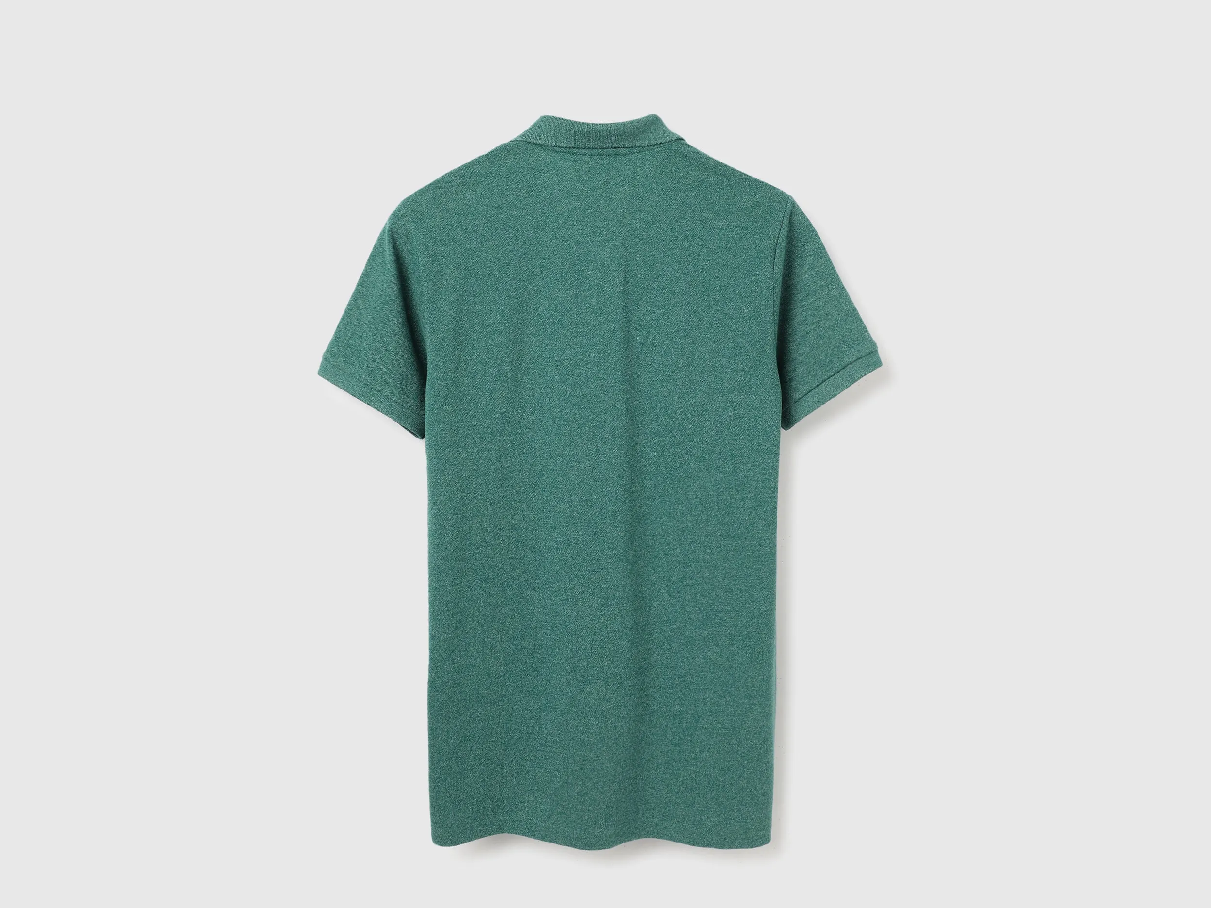 Regular Fit Collared Solid Polo T-Shirt