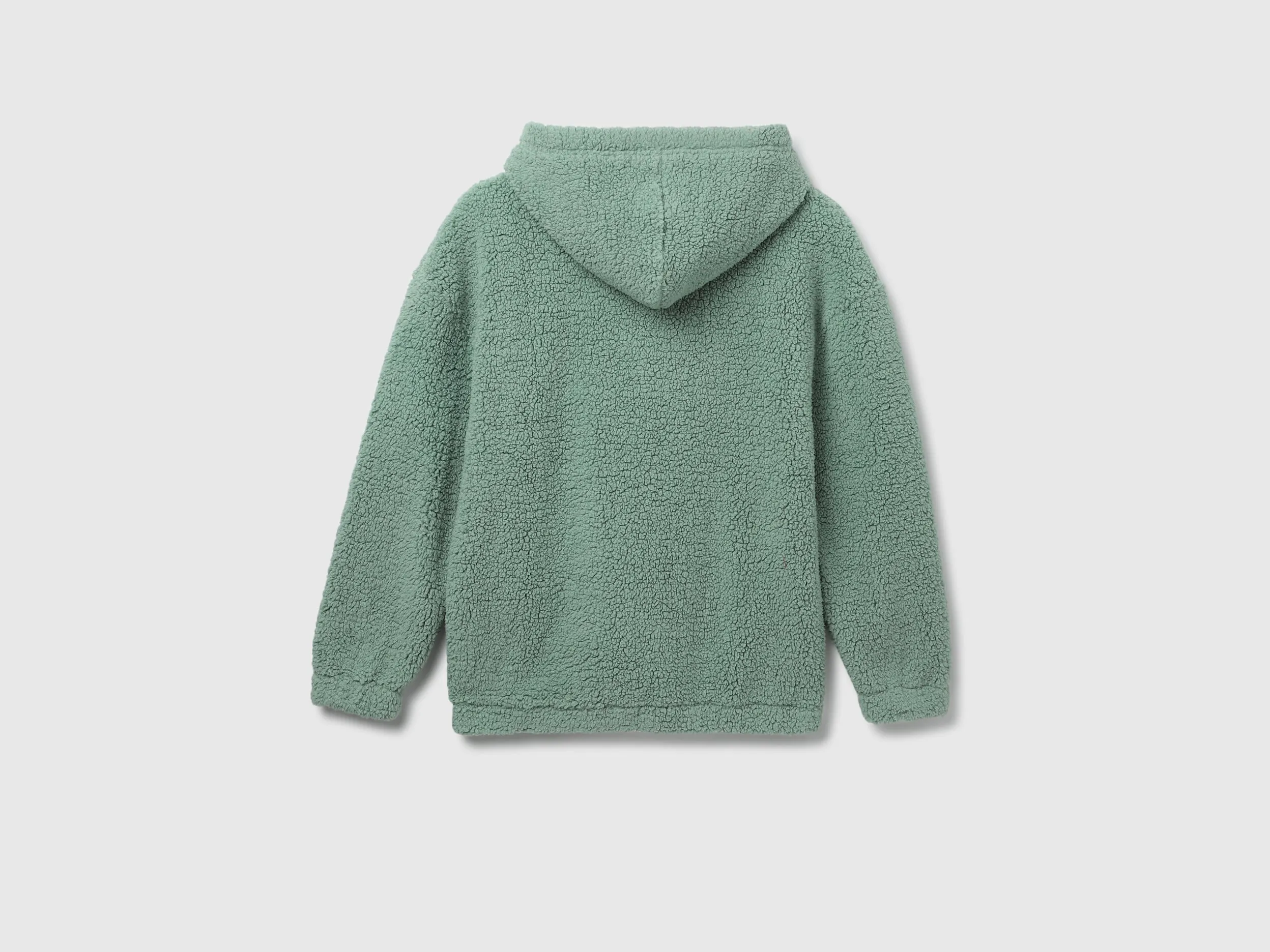Regular Fit Hood Solid Sweatshirt