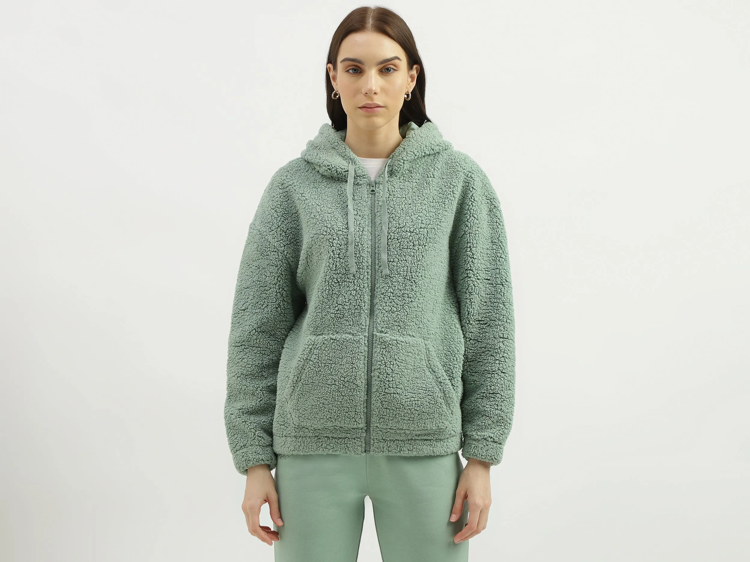 Regular Fit Hood Solid Sweatshirt