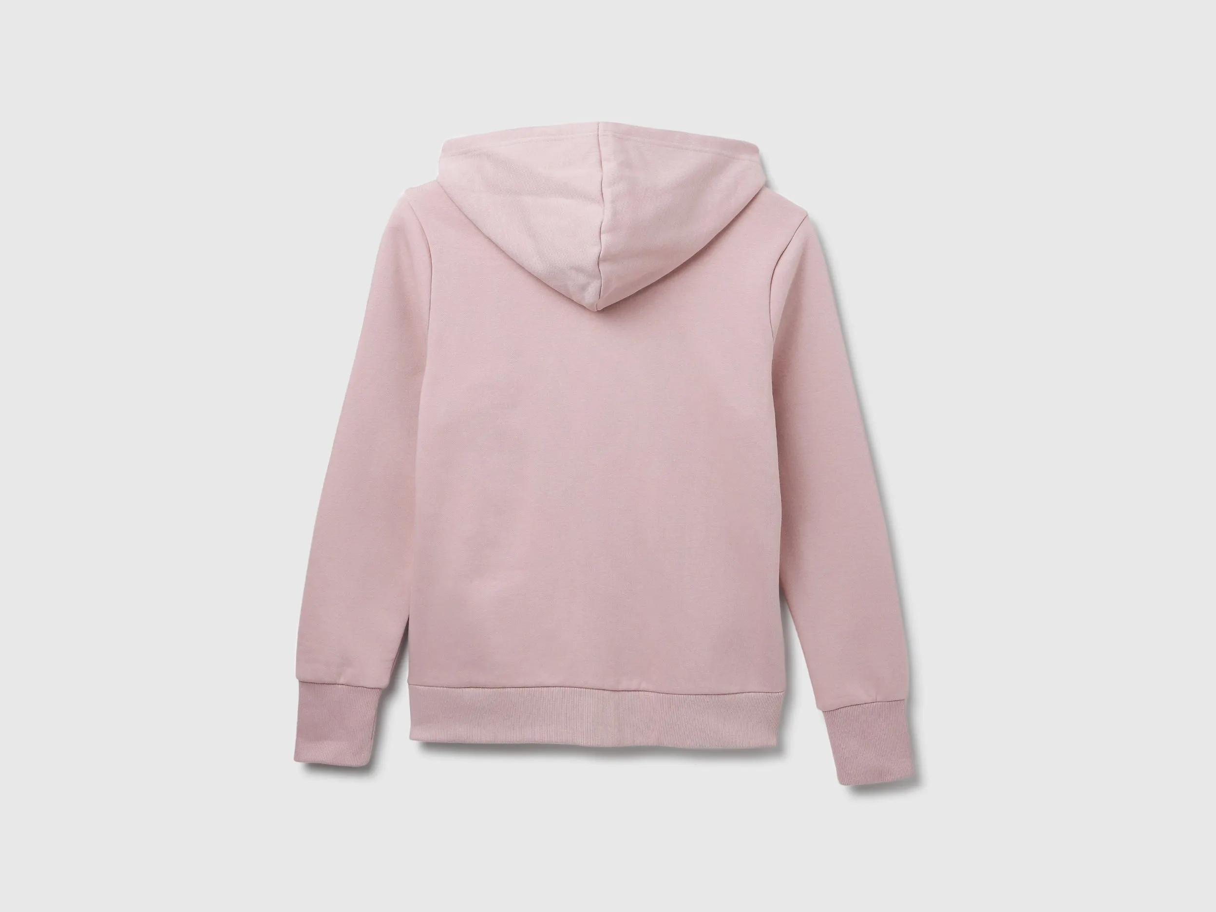 Regular Fit Hood Solid Sweatshirt