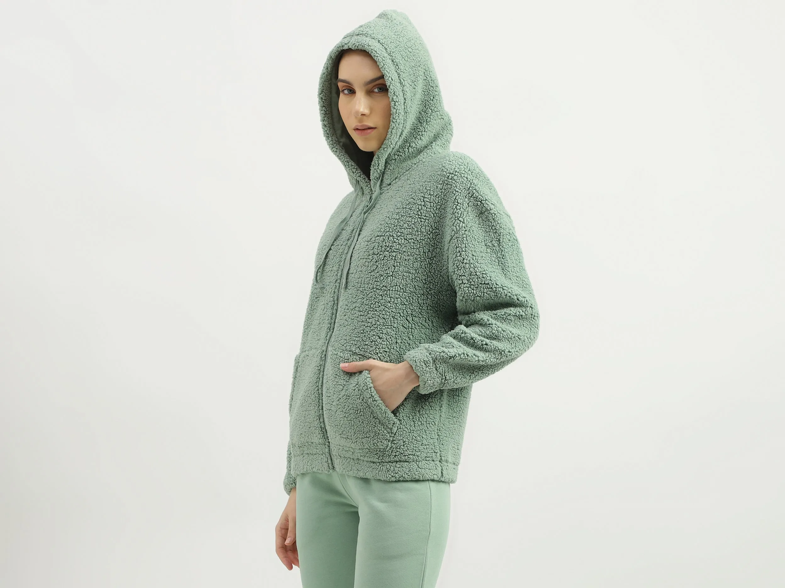Regular Fit Hood Solid Sweatshirt