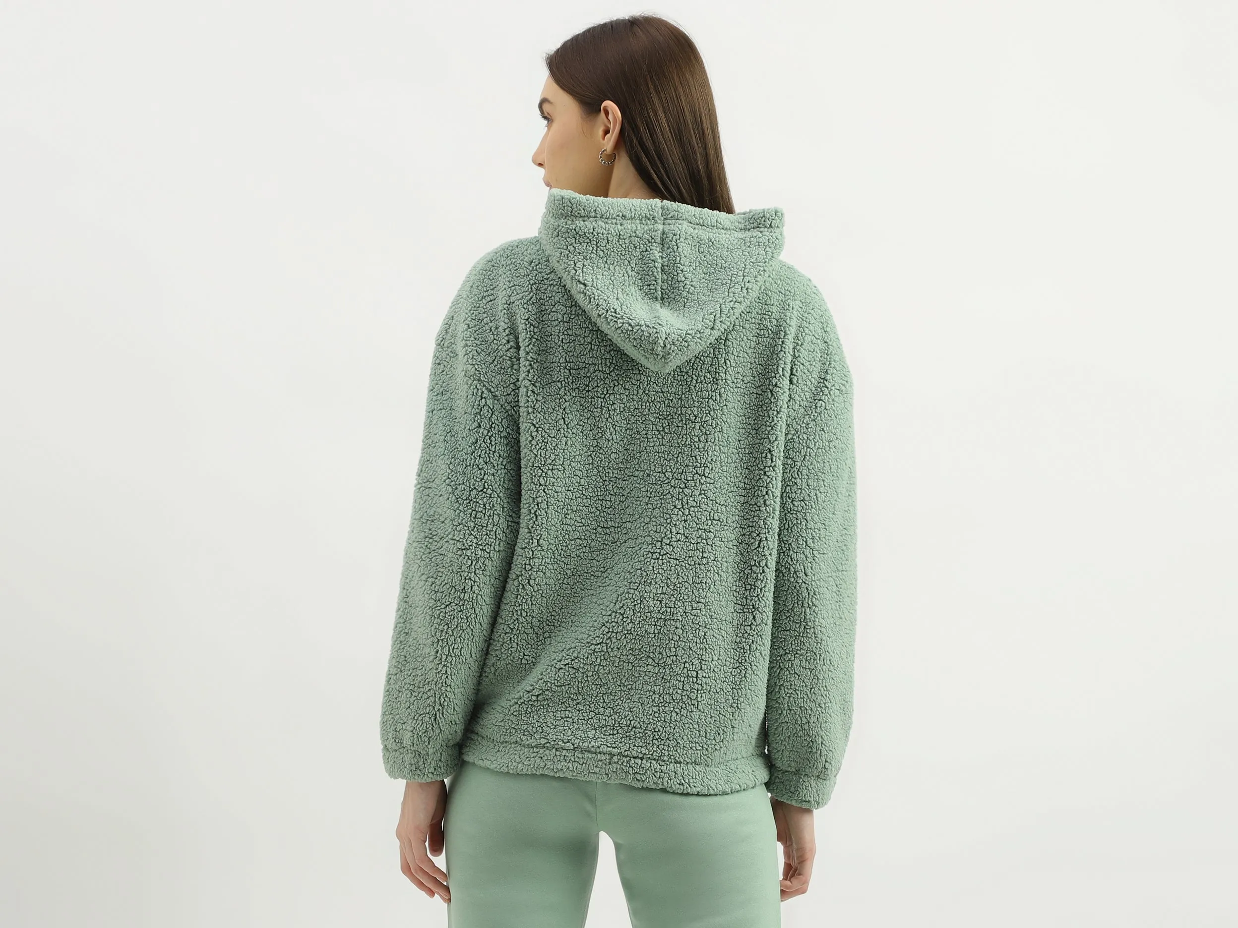 Regular Fit Hood Solid Sweatshirt