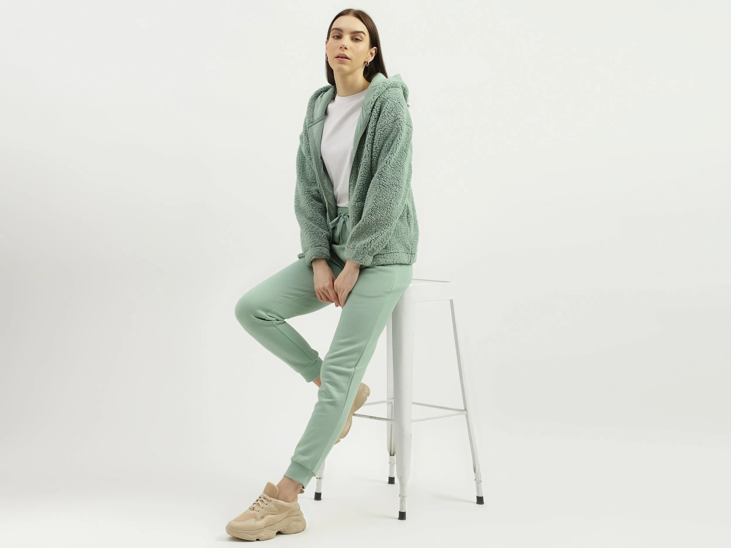 Regular Fit Hood Solid Sweatshirt