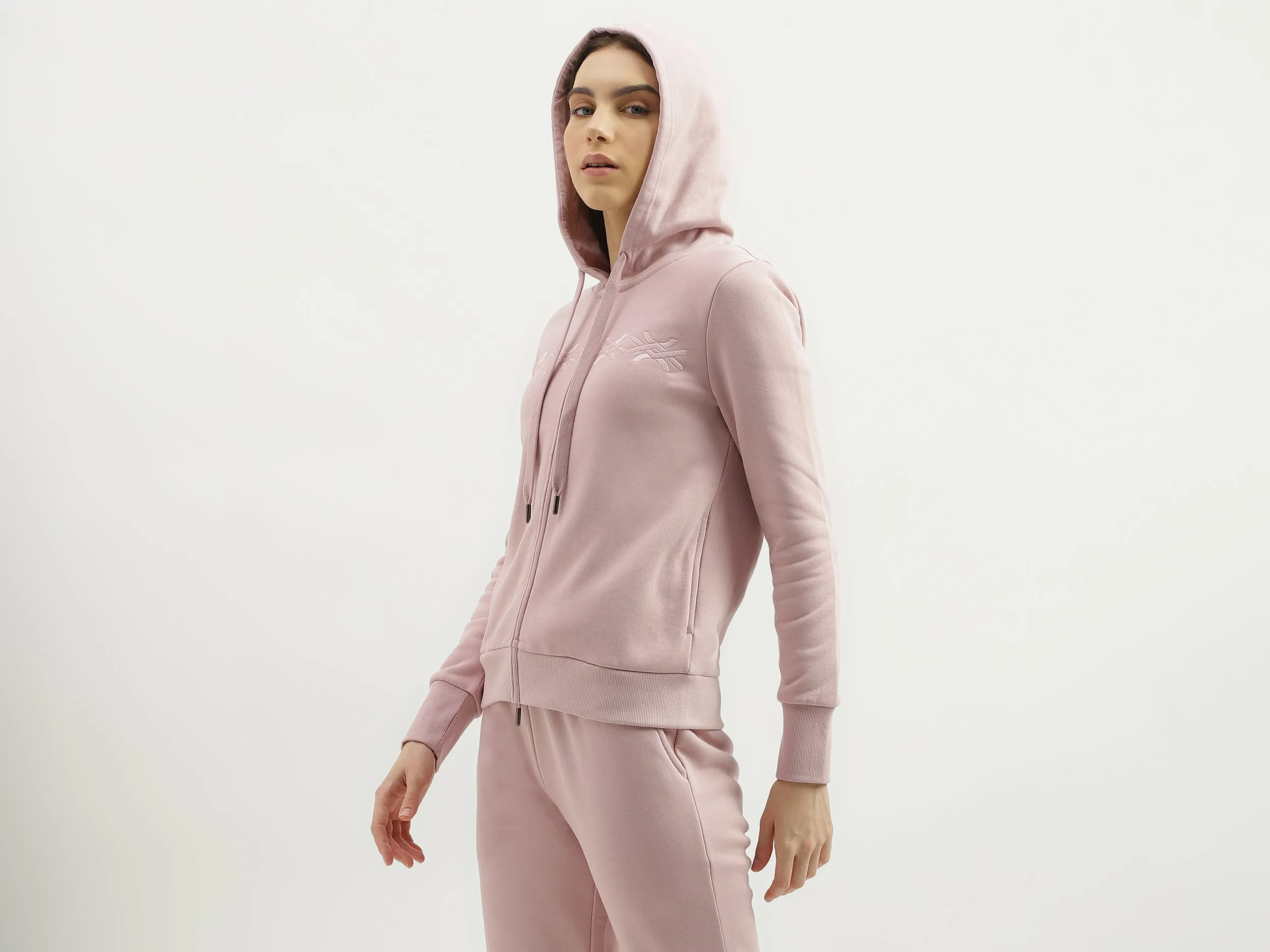 Regular Fit Hood Solid Sweatshirt