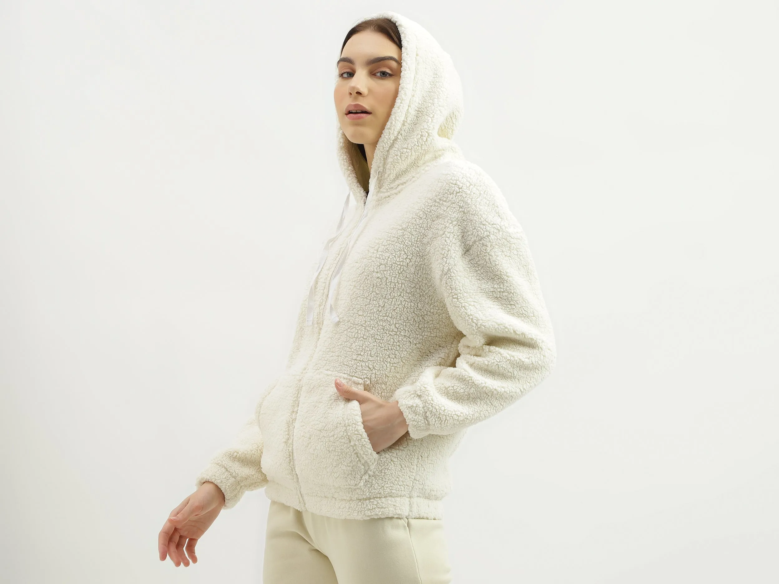 Regular Fit Hood Solid Sweatshirt