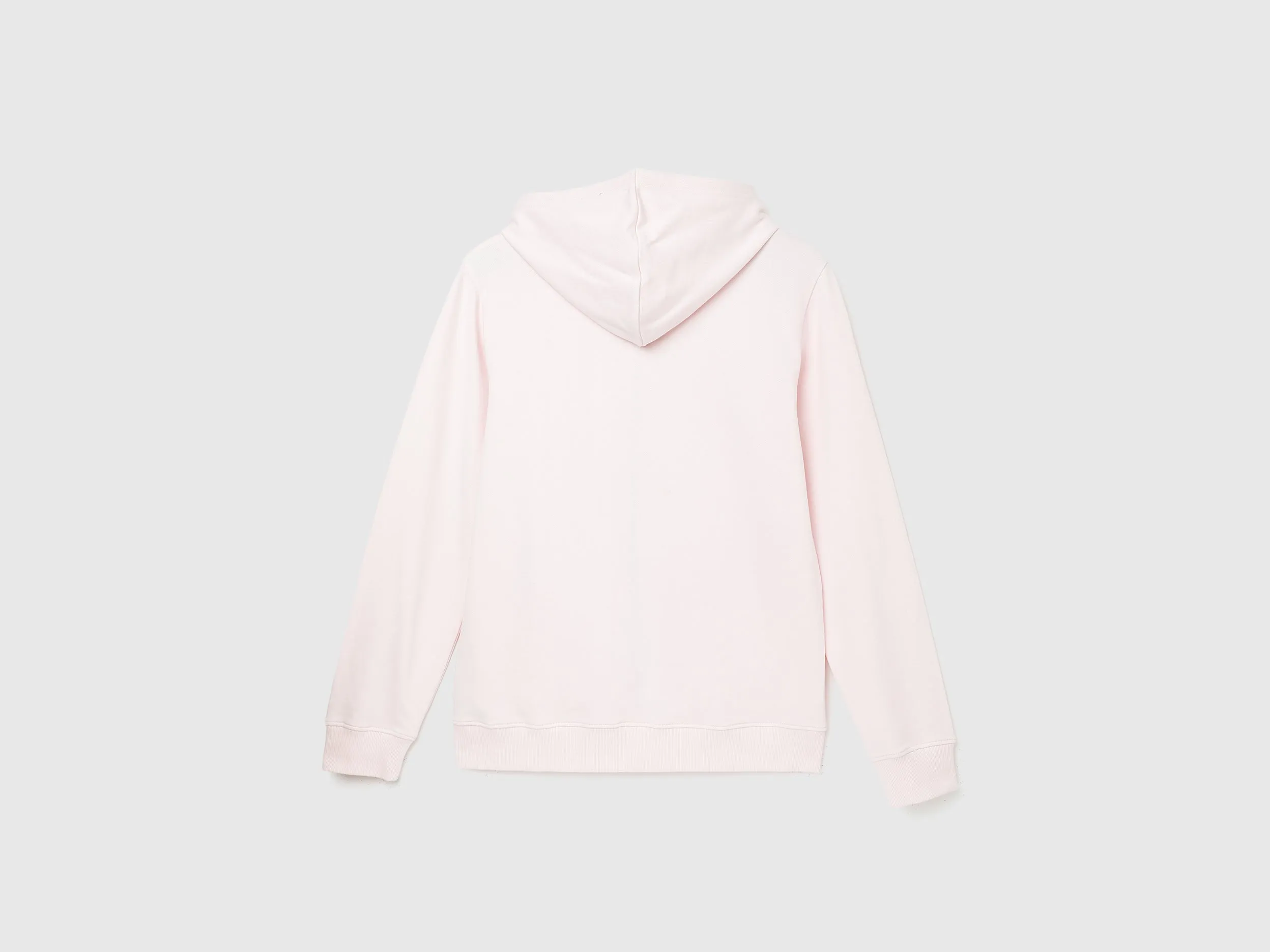 Regular Fit Hooded Solid Sweatshirt