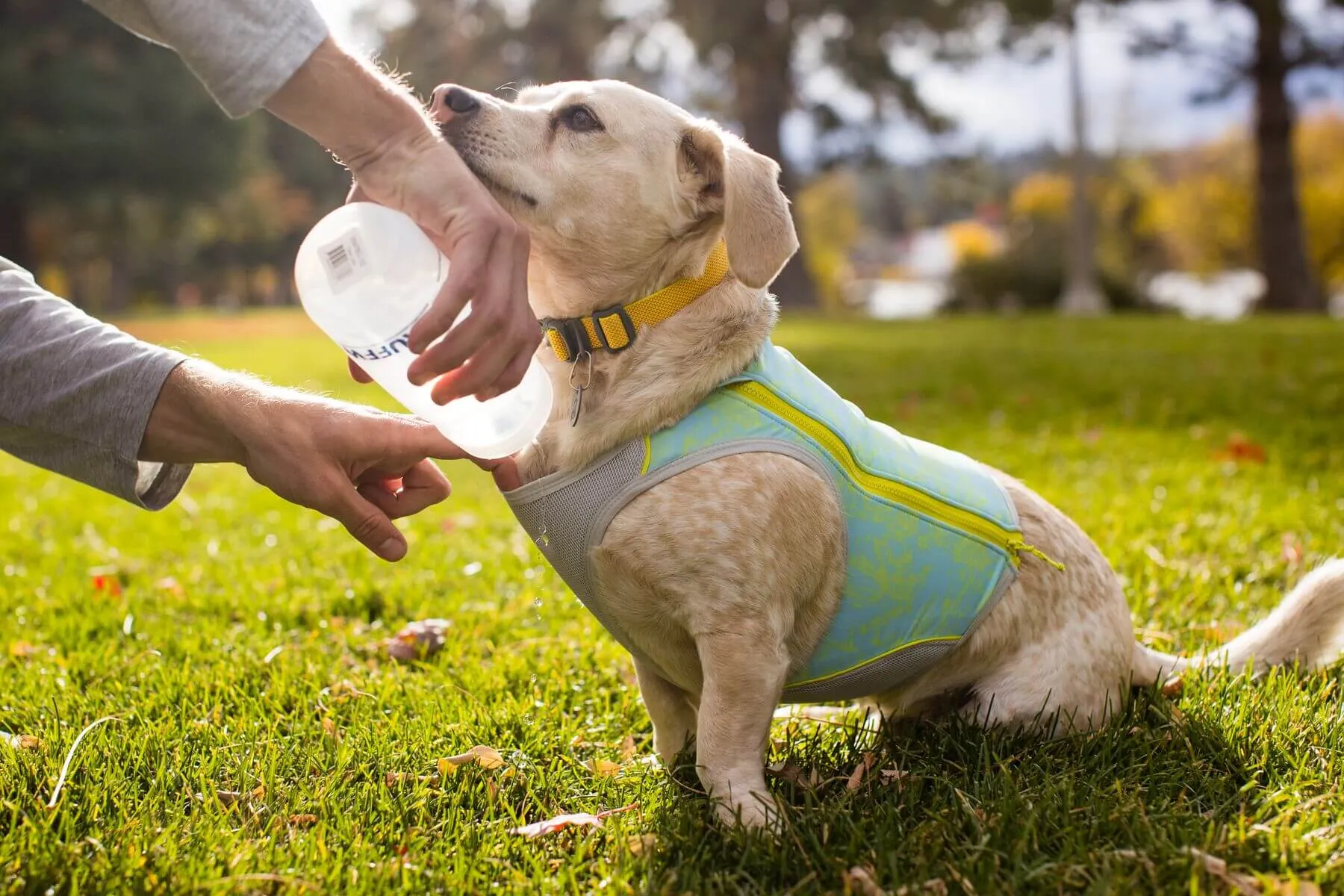 Ruffwear Swamp Cooler Zip™ Vest