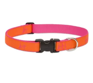 Sunset-Orange Club Collar
