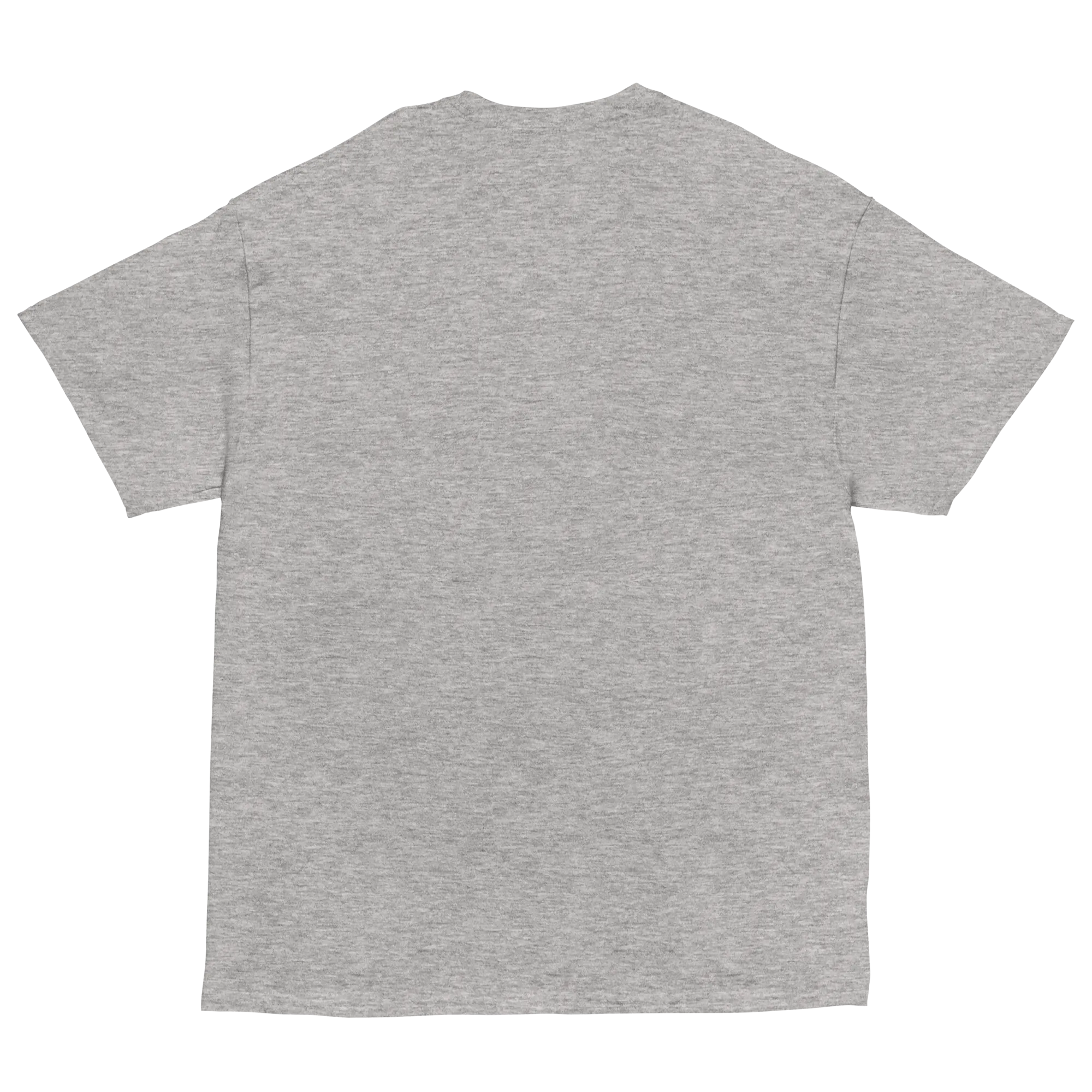 Voting for felon and hillbilly Unisex classic tee