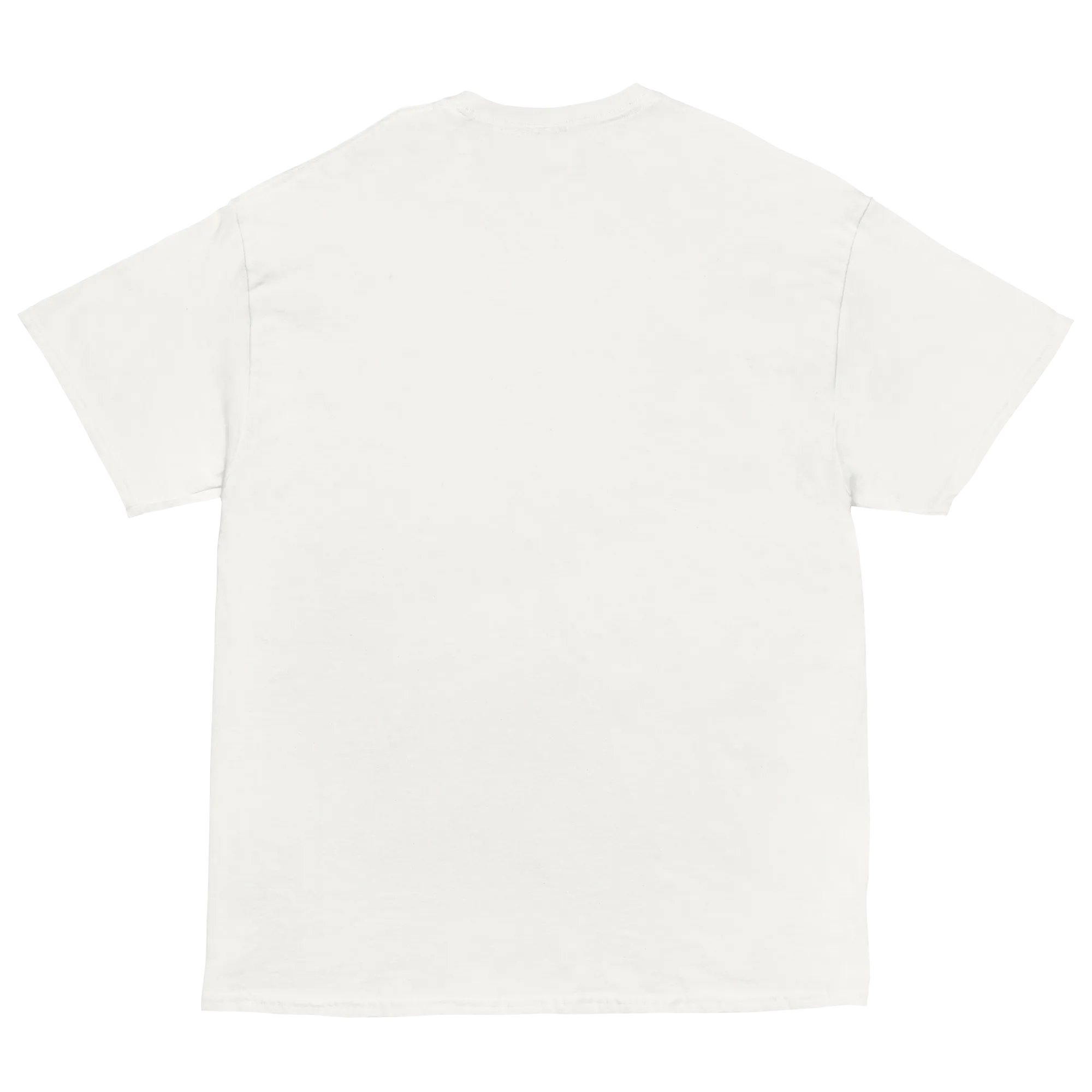 Voting for felon and hillbilly Unisex classic tee