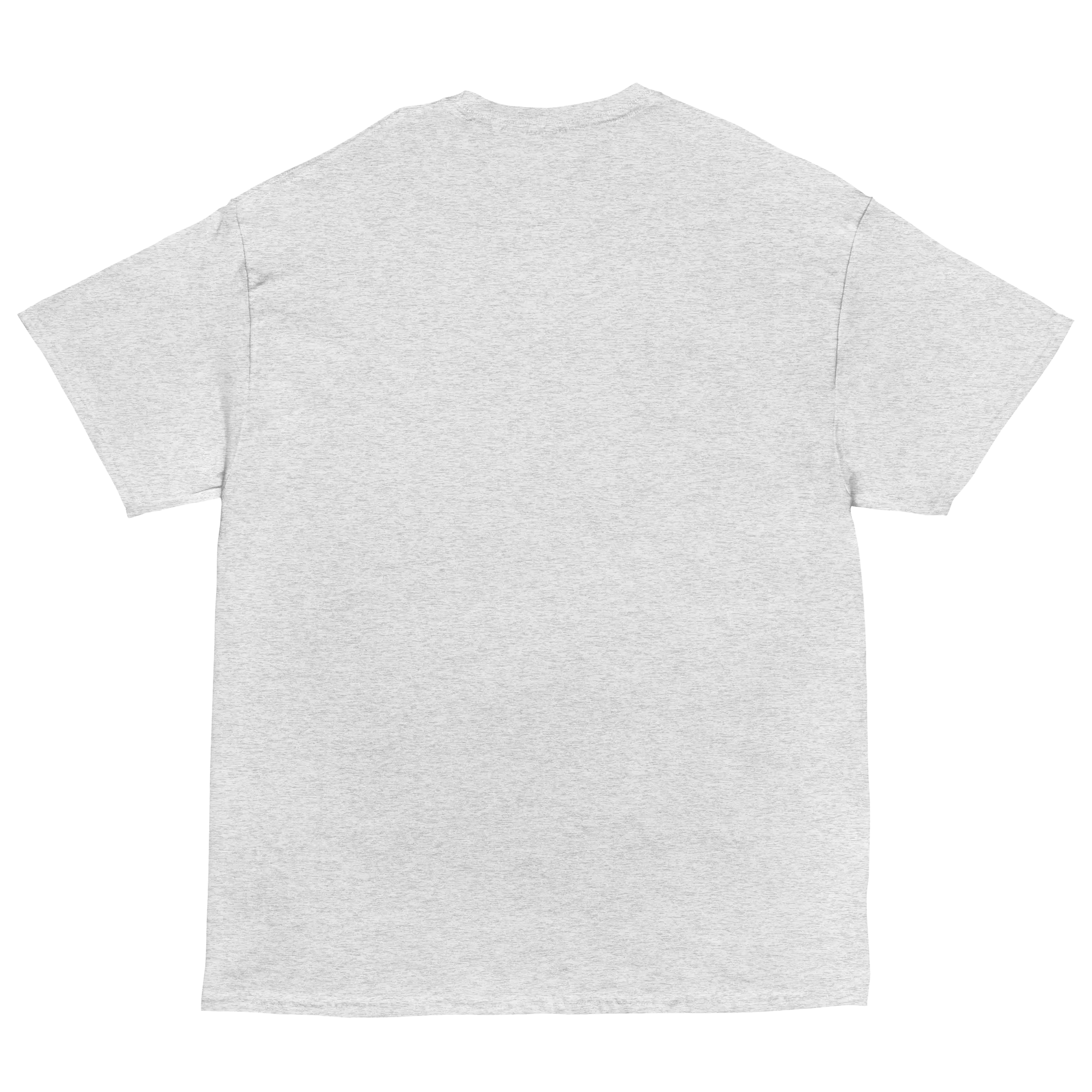 Voting for felon and hillbilly Unisex classic tee