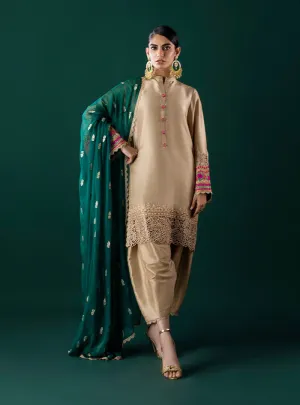 ZAINAB CHOTTANI | AURA LUXE PRET '24 | ROHA